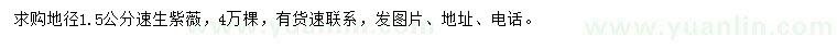 求購地徑1.5公分速生紫薇