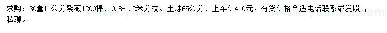 求購30量11公分紫薇