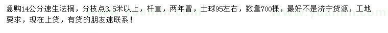 求購14公分速生法桐