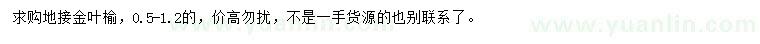 求購0.5-1.2公分地接金葉榆