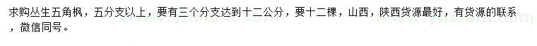 求購叢生五角楓