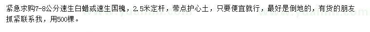 求購7-8公分速生白蠟或速生國槐