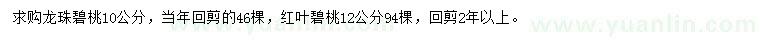 求購(gòu)10公分龍珠碧桃、12公分紅葉碧桃