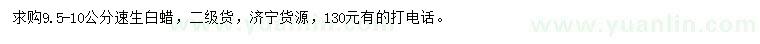 求購9.5-10公分速生白蠟