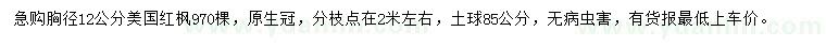 求購胸徑12公分美國紅楓