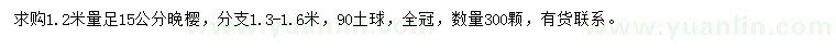 求購1.2米量足15公分晚櫻