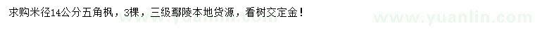 求購米徑14公分五角楓