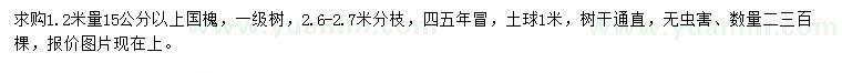 求購1.2米量15公分以上國槐