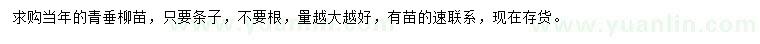 求購當(dāng)年青垂柳苗