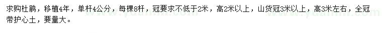 求購高2米以上杜鵑