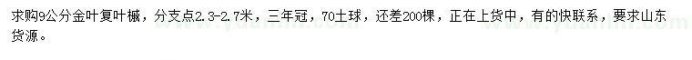 求購(gòu)9公分金葉復(fù)葉槭
