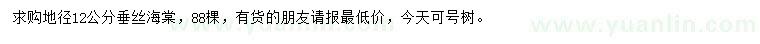 求購(gòu)地徑12公分垂絲海棠