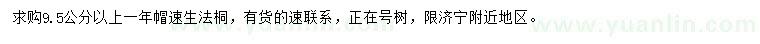 求購9.5公分以上速生法桐