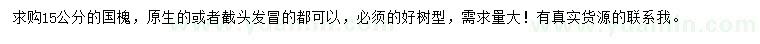 求購(gòu)15公分國(guó)槐