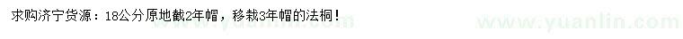 求購(gòu)18公分法桐