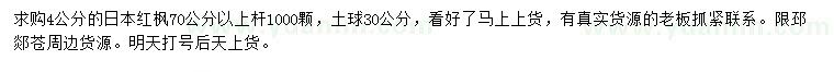 求購4公分日本紅楓