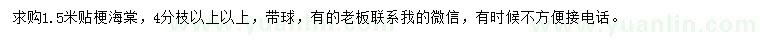 求購1.5米貼梗海棠
