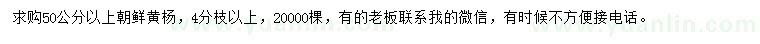 求購(gòu)50公分以上朝鮮黃楊
