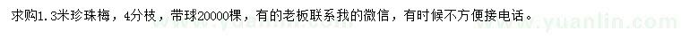 求購(gòu)1.3米珍珠梅