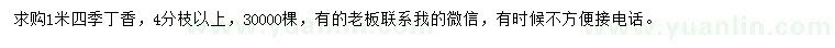 求購1米四季丁香