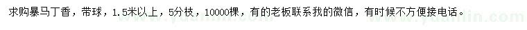求購1.5米以上暴馬丁香
