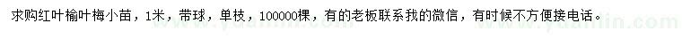 求購1米紅葉榆葉梅小苗