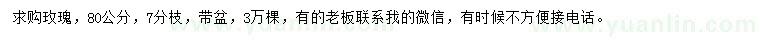 求購(gòu)80公分玫瑰
