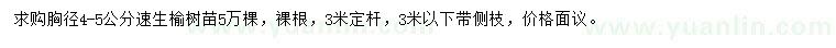 求購(gòu)胸徑4-5公分速生榆樹苗