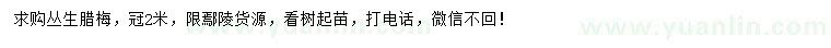 求購(gòu)冠2米叢生臘梅
