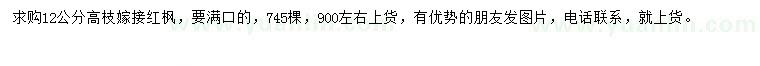 求購12公分高枝嫁接紅楓