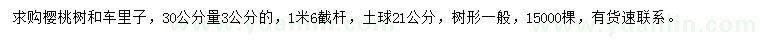 求購(gòu)30公分量3公分櫻桃樹、車?yán)镒? />
                        <br />
                        <label style=