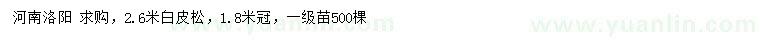 求購2.6米白皮松
