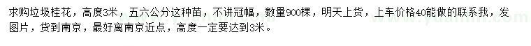 求購高度3米桂花