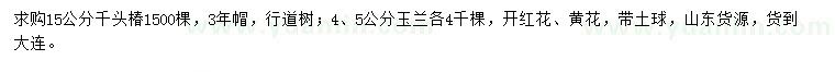 求購15公分千頭椿、4、5公分玉蘭
