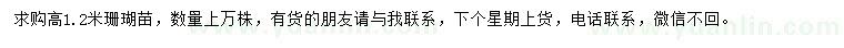 求購(gòu)高1.2米珊瑚苗