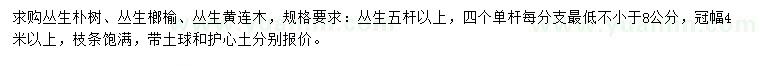 求購叢生樸樹、叢生榔榆、叢生黃連木