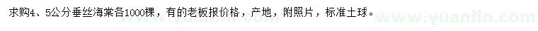 求購4、5公分垂絲海棠