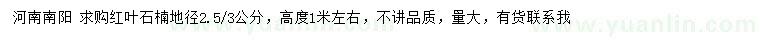 求購地徑2.5、3公分紅葉石楠