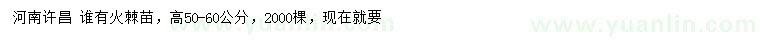 求購(gòu)高50-60公分火棘苗