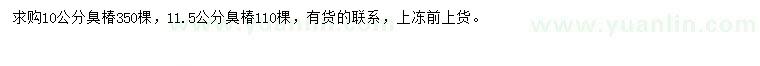 求購10、11.5公分臭椿