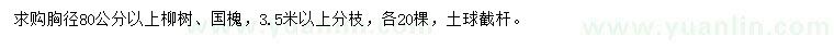 求購胸徑80公分以上柳樹、國槐