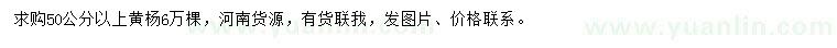 求購50公分以上黃楊