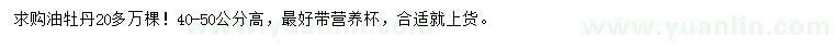 求購(gòu)高40-50公分油牡丹