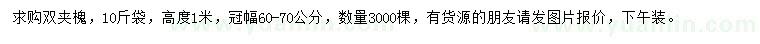 求購(gòu)高度1米雙夾槐