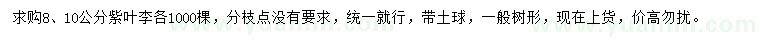 求購(gòu)8、10公分紫葉李