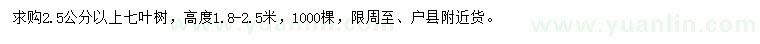 求購2.5公分以上七葉樹