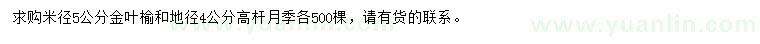 求購米徑5公分金葉榆、地徑4公分高桿月季