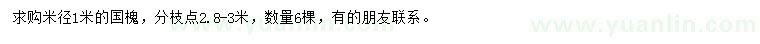 求購米徑1米國槐