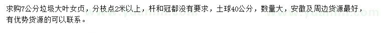求購7公分大葉女貞