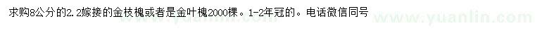 求購8公分金枝槐、金葉槐